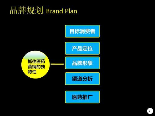 肛泰市场营销策划案ppt 品牌规划 brand plan 目标消费者 产品定位